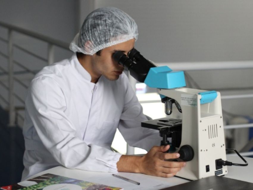 microbioterapia: cura