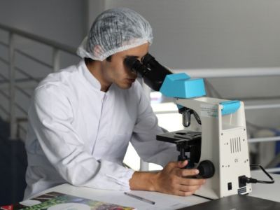 microbioterapia: cura